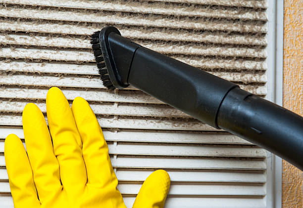 Best Air Duct Mold Removal  in Shoh, IL